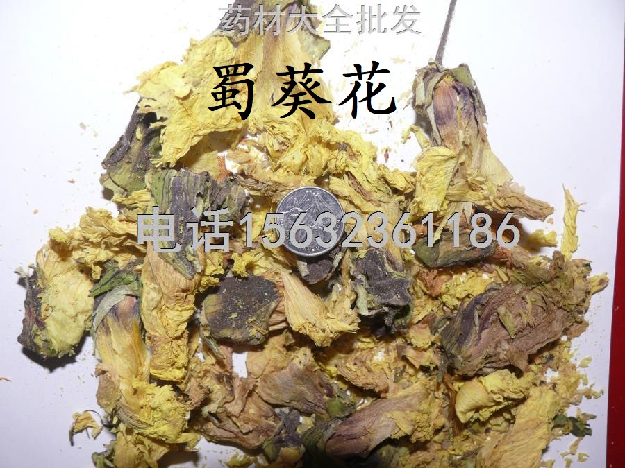 黄蜀葵花353.JPG